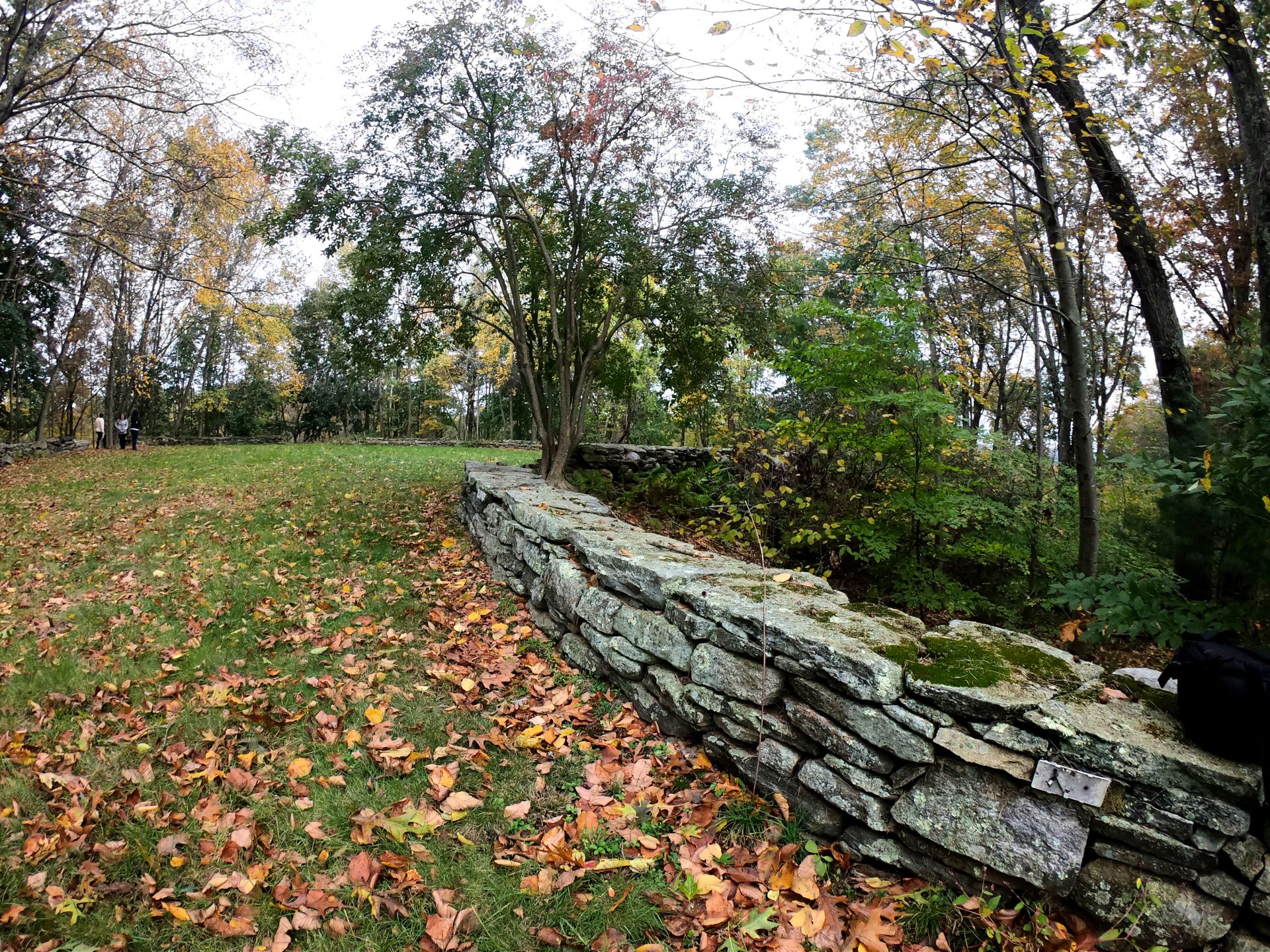 The Ridge campus grounds with outdoor grass area surrounded by stone wall and woods.